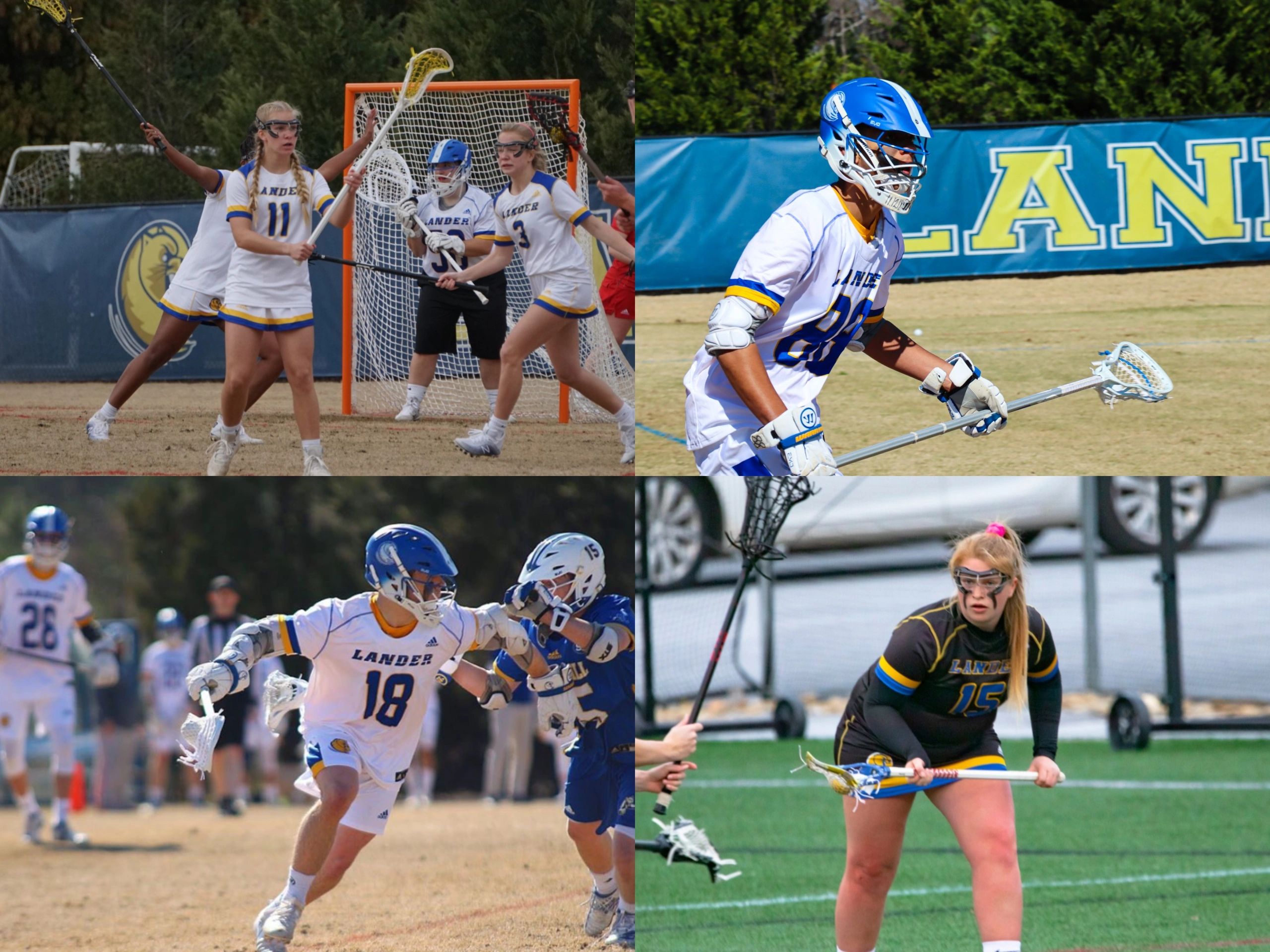Bearcat Lacrosse Camps